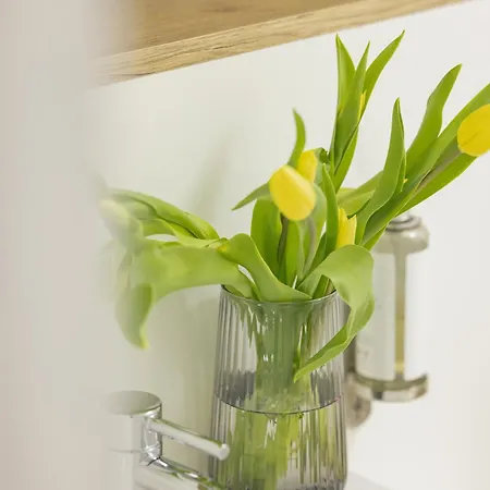 Pinea Gold 620 - Basen, Sauna, Jacuzzi W Cenie Pobytu - Vi Pietro Z Widokiem Na Morze Pobierowo