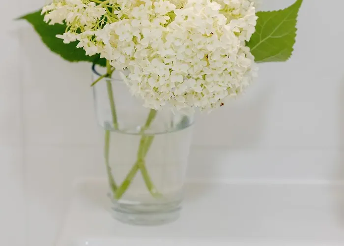 Διαμέρισμα Pinea Gold 620 - Basen, Sauna, Jacuzzi W Cenie Pobytu - Vi Pietro Z Widokiem Na Morze Pobierowo